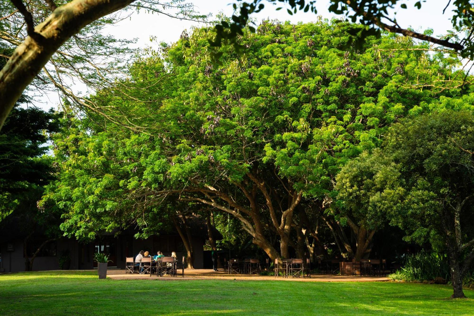 Falaza Game Park And Spa Hluhluwe Ngoại thất bức ảnh